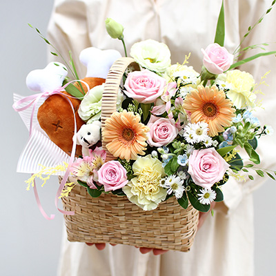 도러블_펫토이인형(서울)