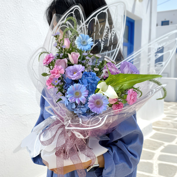 플라이하이(서울S)